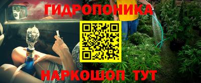 скорость Аргун