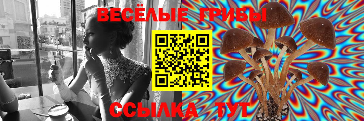 Галлюциногенные грибы Cubensis Апрелевка